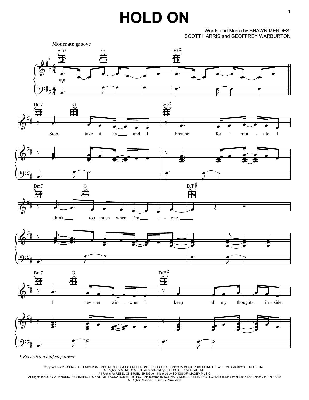 Download Shawn Mendes Hold On Sheet Music