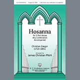 Download or print Hosanna (arr. James Christian Pfohl) Sheet Music Printable PDF 3-page score for Sacred / arranged 2-Part Choir SKU: 431059.