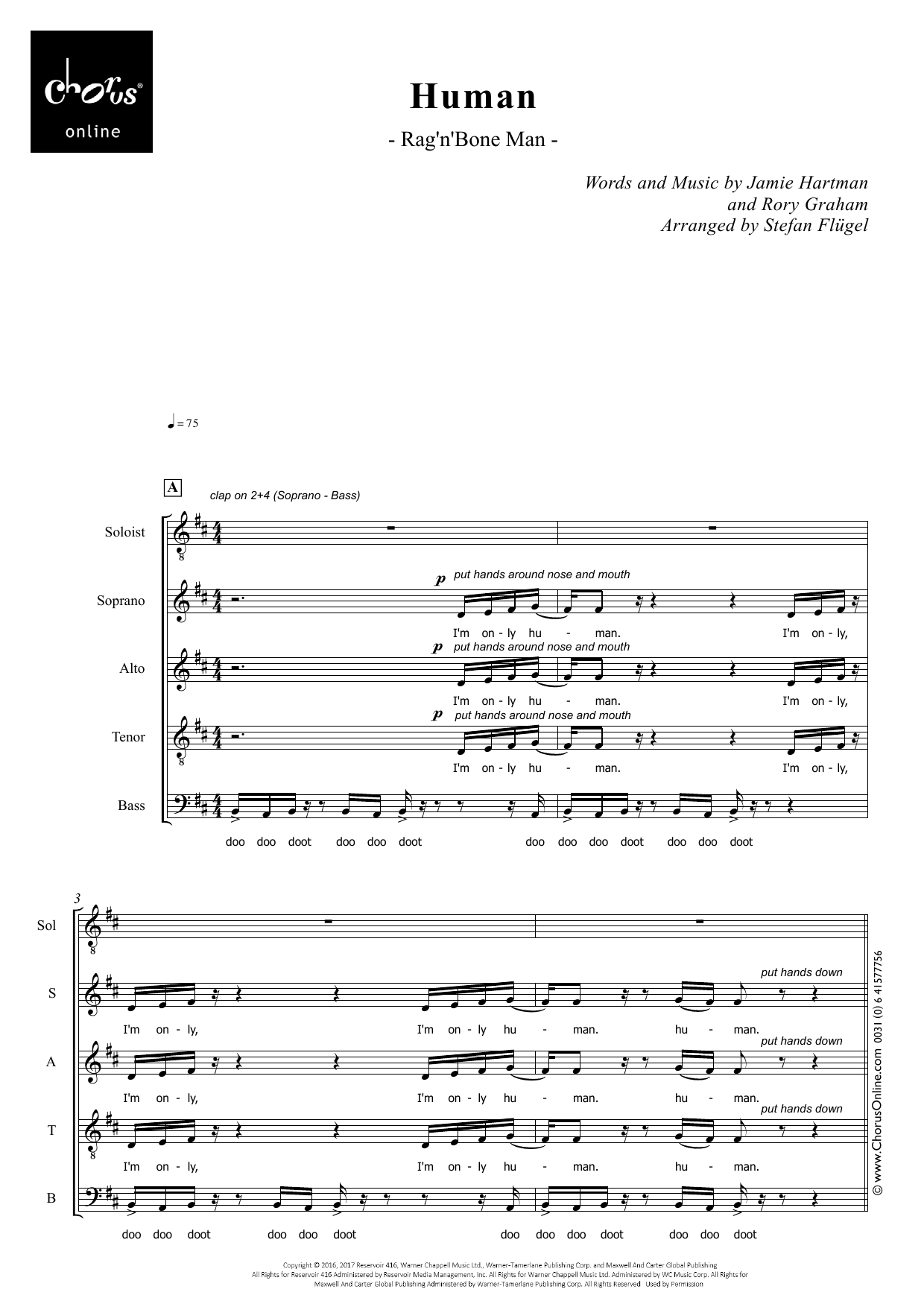 Rag 'n' Bone Man Human (arr. Stefan Flügel) sheet music notes printable PDF score