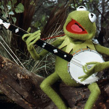 Kermit The Frog image and pictorial