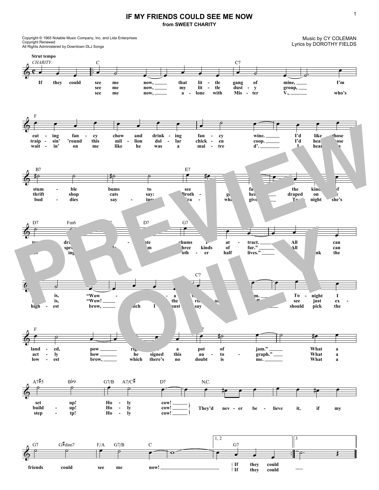 Download Cy Coleman If My Friends Could See Me Now Sheet Music