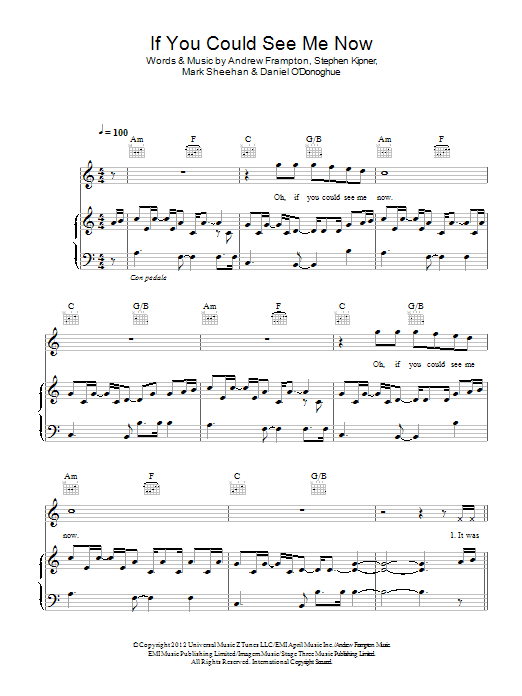 Download The Script If You Could See Me Now Sheet Music