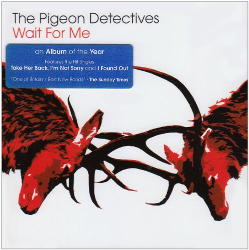 The Pigeon Detectives image and pictorial