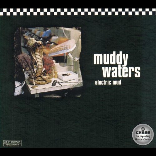 Muddy Waters image and pictorial