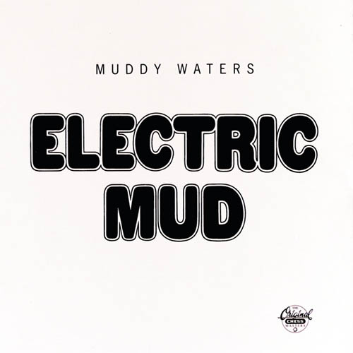 Muddy Waters image and pictorial
