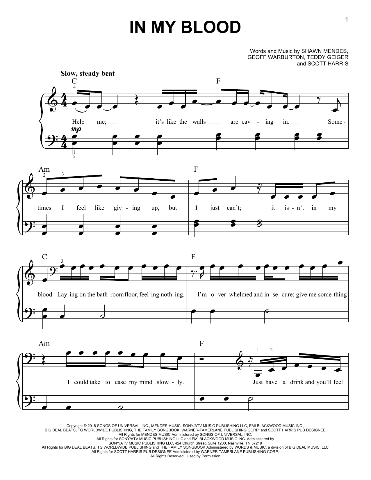 Download Shawn Mendes In My Blood Sheet Music