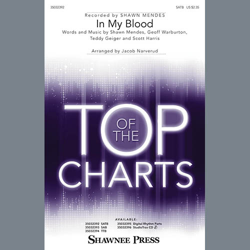Download Shawn Mendes In My Blood (arr. Jacob Narverud) - Acoustic Guitar Sheet Music and Printable PDF Score for Choir Instrumental Pak