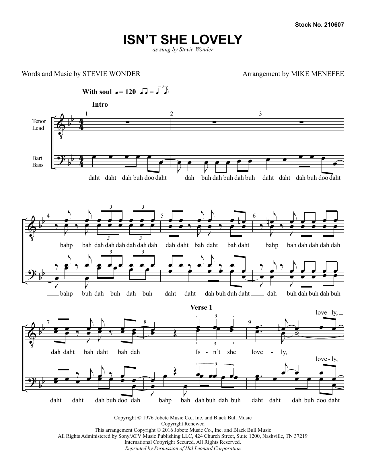 Download Stevie Wonder Isn't She Lovely (arr. Mike Menefee) Sheet Music