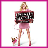 Download or print Legally Blonde Sheet Music Printable PDF 11-page score for Broadway / arranged Piano, Vocal & Guitar (Right-Hand Melody) SKU: 70459.