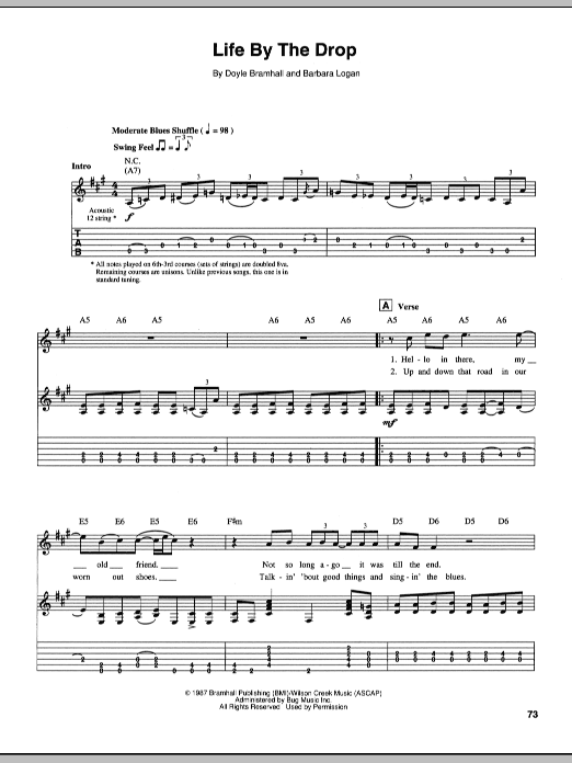 Download Stevie Ray Vaughan Life By The Drop Sheet Music
