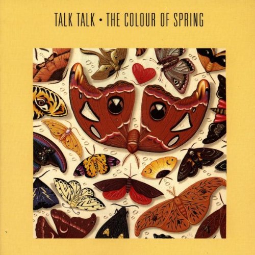 Talk Talk image and pictorial