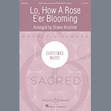 Download or print Lo, How A Rose E'er Blooming Sheet Music Printable PDF 17-page score for Christmas / arranged SATB Choir SKU: 186460.