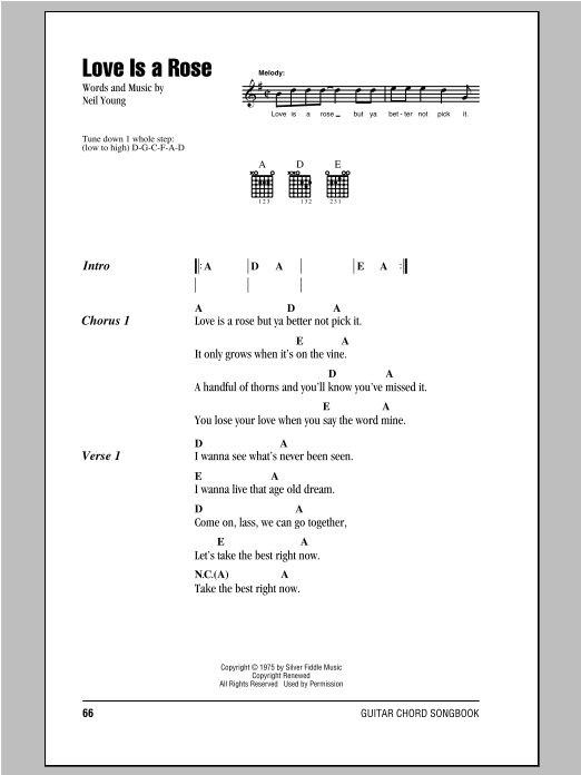 Download Neil Young Love Is A Rose Sheet Music
