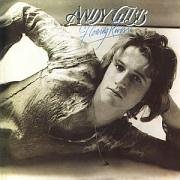 Andy Gibb image and pictorial