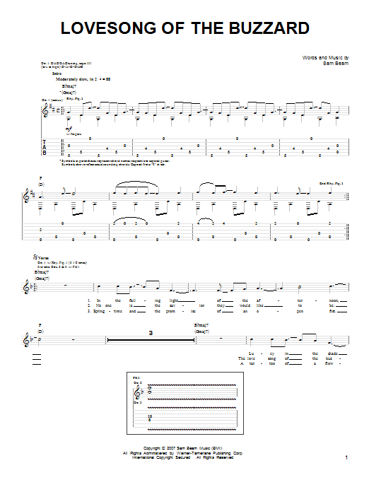 Download Iron & Wine Lovesong Of The Buzzard Sheet Music