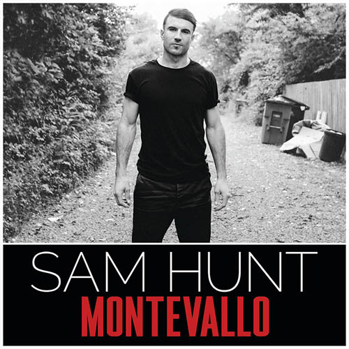 Sam Hunt image and pictorial