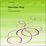 Download or print Manatee Rag - 1st Bb Clarinet Sheet Music Printable PDF 3-page score for Jazz / arranged Woodwind Ensemble SKU: 339195.