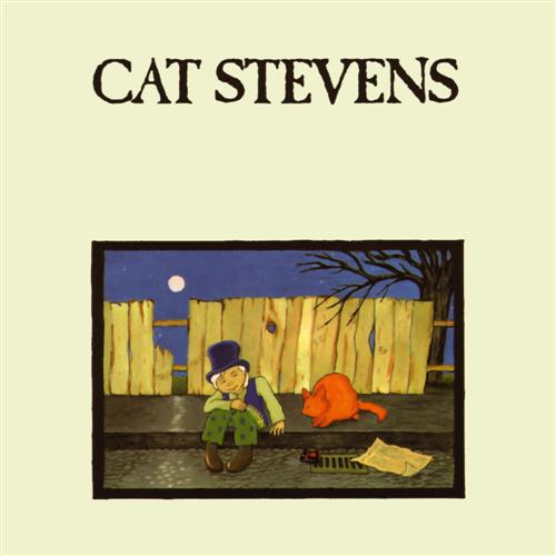 Cat Stevens image and pictorial