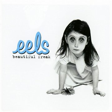 Eels image and pictorial