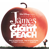 Download or print My Name Is James (from James and the Giant Peach) Sheet Music Printable PDF 4-page score for Film/TV / arranged Piano & Vocal SKU: 1313704.