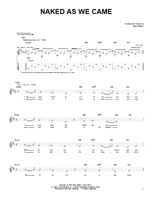 Download Iron & Wine Naked As We Came Sheet Music