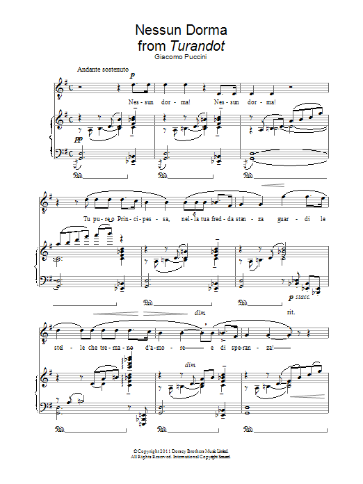 Download Andrea Bocelli Nessun Dorma (from Turandot) Sheet Music