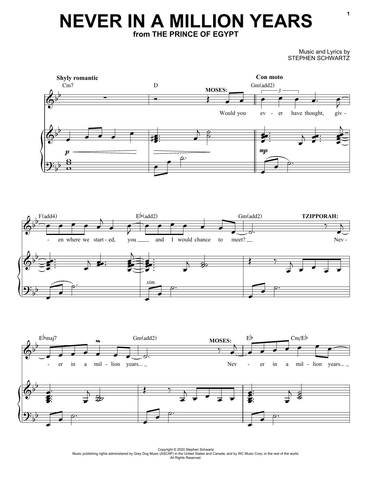 Download Stephen Schwartz Never In A Million Years (from The Prin Sheet Music
