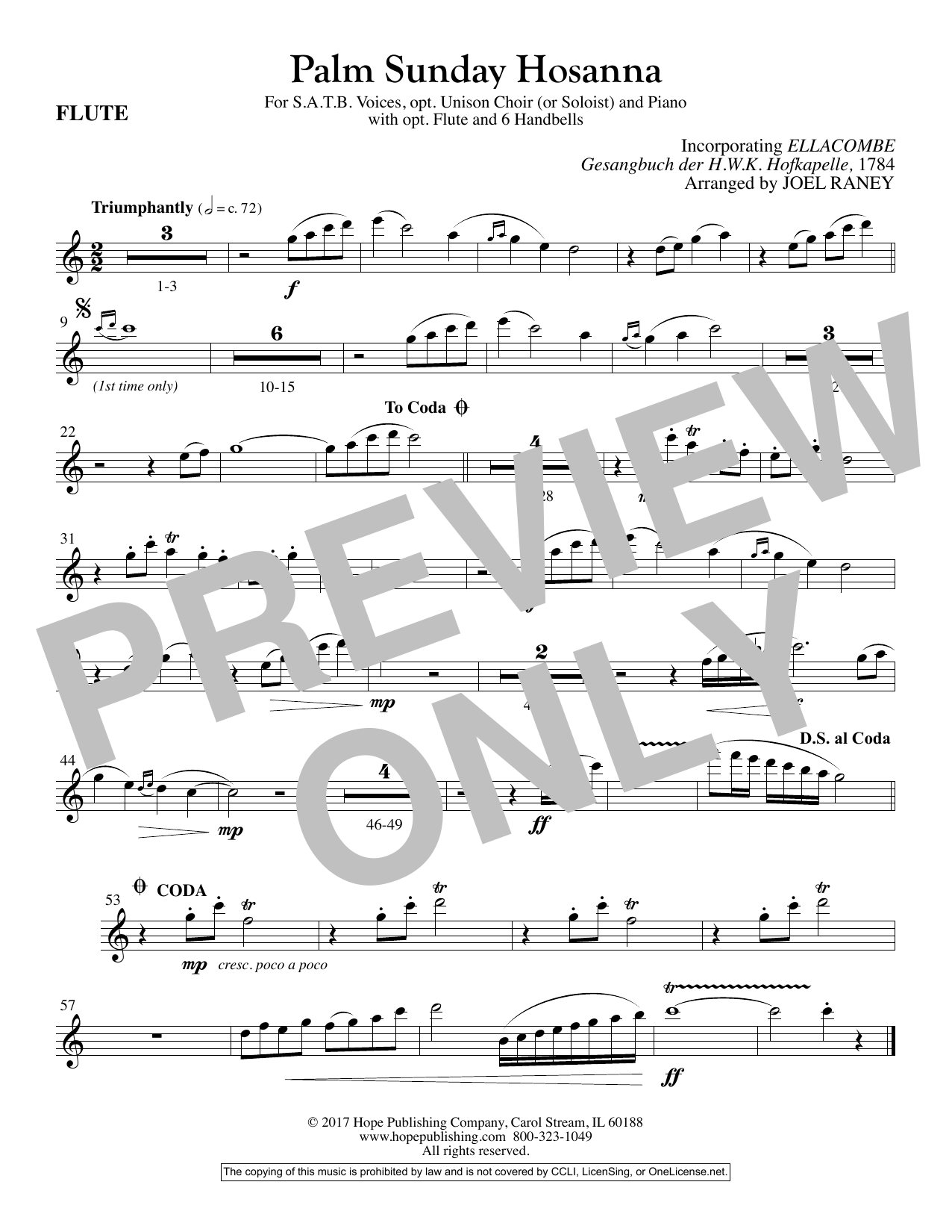 Download Joel Raney Palm Sunday Hosanna - Flute Sheet Music