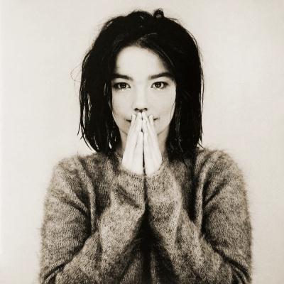 Bjork image and pictorial
