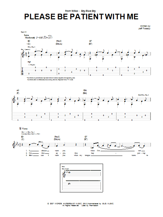 Download Wilco Please Be Patient With Me Sheet Music