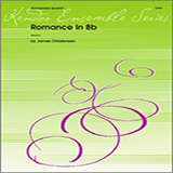 Download or print Romance In Bb - Bassoon Sheet Music Printable PDF 1-page score for Classical / arranged Woodwind Ensemble SKU: 340954.