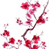 Download or print Sakura (Cherry Blossoms) Sheet Music Printable PDF 1-page score for Folk / arranged Ocarina SKU: 253456.