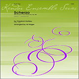 Download or print Scherzo (Movement II from Grand Trio, Op. 90) - Flute 1 Sheet Music Printable PDF 3-page score for Classical / arranged Woodwind Ensemble SKU: 313530.