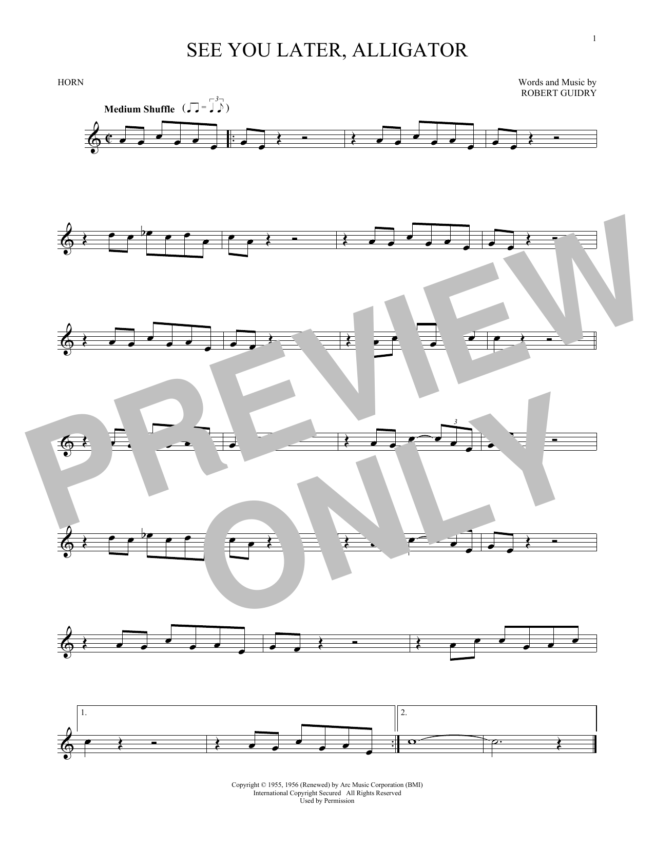 Download Bill Haley & His Comets See You Later, Alligator Sheet Music