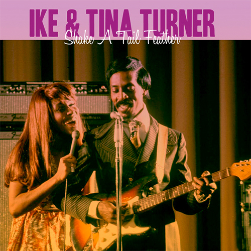 Ike & Tina Turner image and pictorial