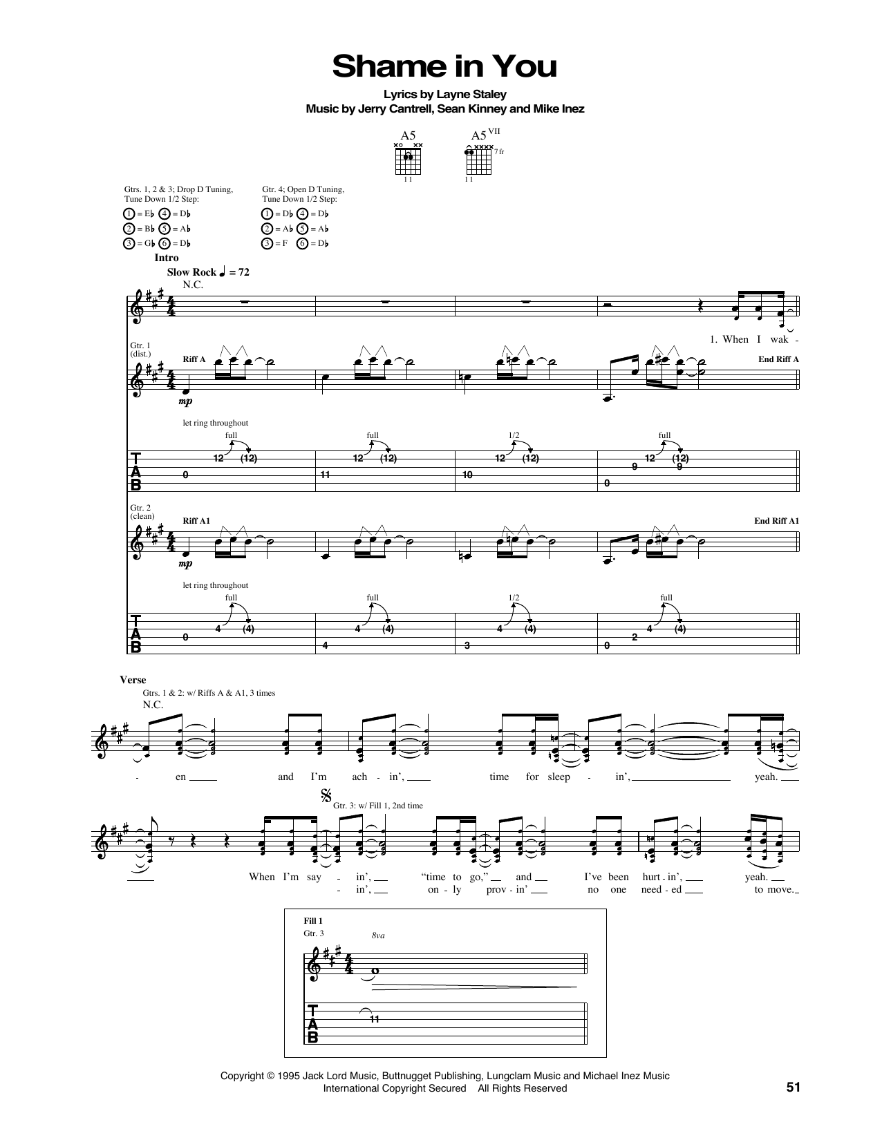 Download Alice In Chains Shame In You Sheet Music