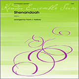 Download or print Shenandoah - Bassoon Sheet Music Printable PDF 1-page score for Traditional / arranged Woodwind Ensemble SKU: 322046.