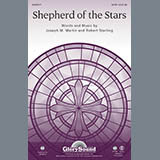 Download or print Shepherd Of The Stars - Bass Clarinet in Bb Sheet Music Printable PDF 1-page score for Concert / arranged Choir Instrumental Pak SKU: 305895.