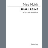 Download or print Small Raine Sheet Music Printable PDF 17-page score for Classical / arranged SATB Choir SKU: 509462.