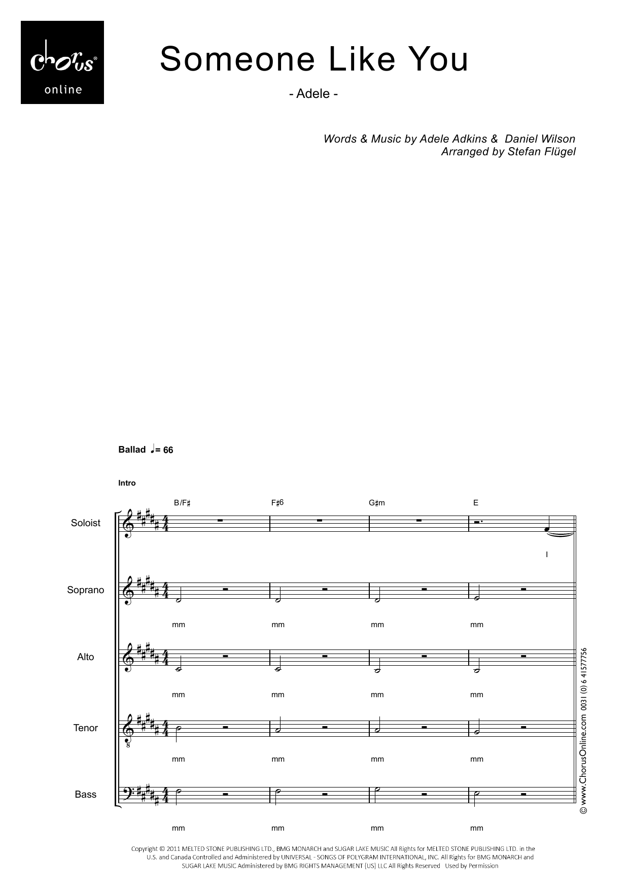 Adele Someone Like You (arr. Stefan Flügel) sheet music notes printable PDF score
