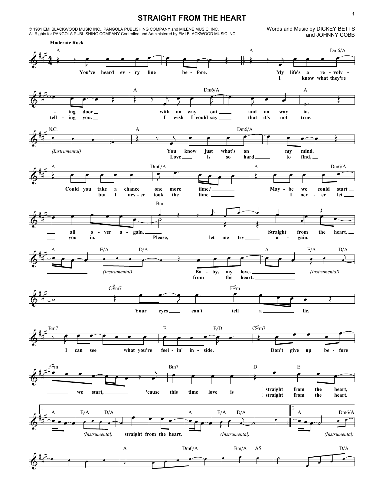 Download The Allman Brothers Band Straight From The Heart Sheet Music