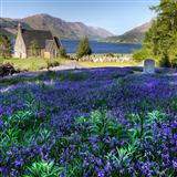 Download or print The Bluebells Of Scotland Sheet Music Printable PDF 2-page score for Irish / arranged Piano, Vocal & Guitar (Right-Hand Melody) SKU: 69150.