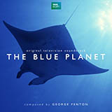 Download or print The Blue Planet, Blue Whale Sheet Music Printable PDF 7-page score for Film/TV / arranged Piano Solo SKU: 117905.