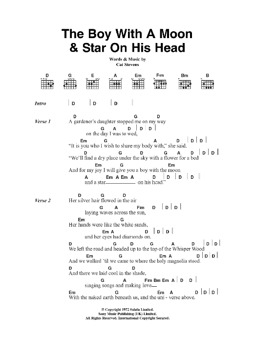 Download Cat Stevens The Boy With The Moon And Star On His H Sheet Music