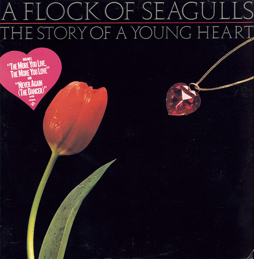 A Flock Of Seagulls image and pictorial