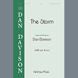 Download or print The Storm Sheet Music Printable PDF 11-page score for Concert / arranged SAB Choir SKU: 1345475.