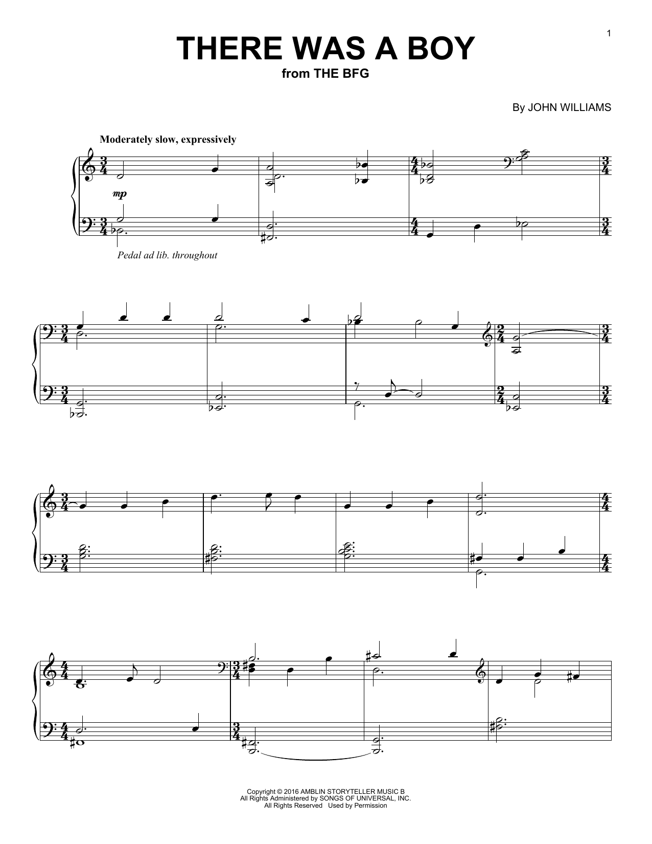 Download John Williams There Was A Boy Sheet Music