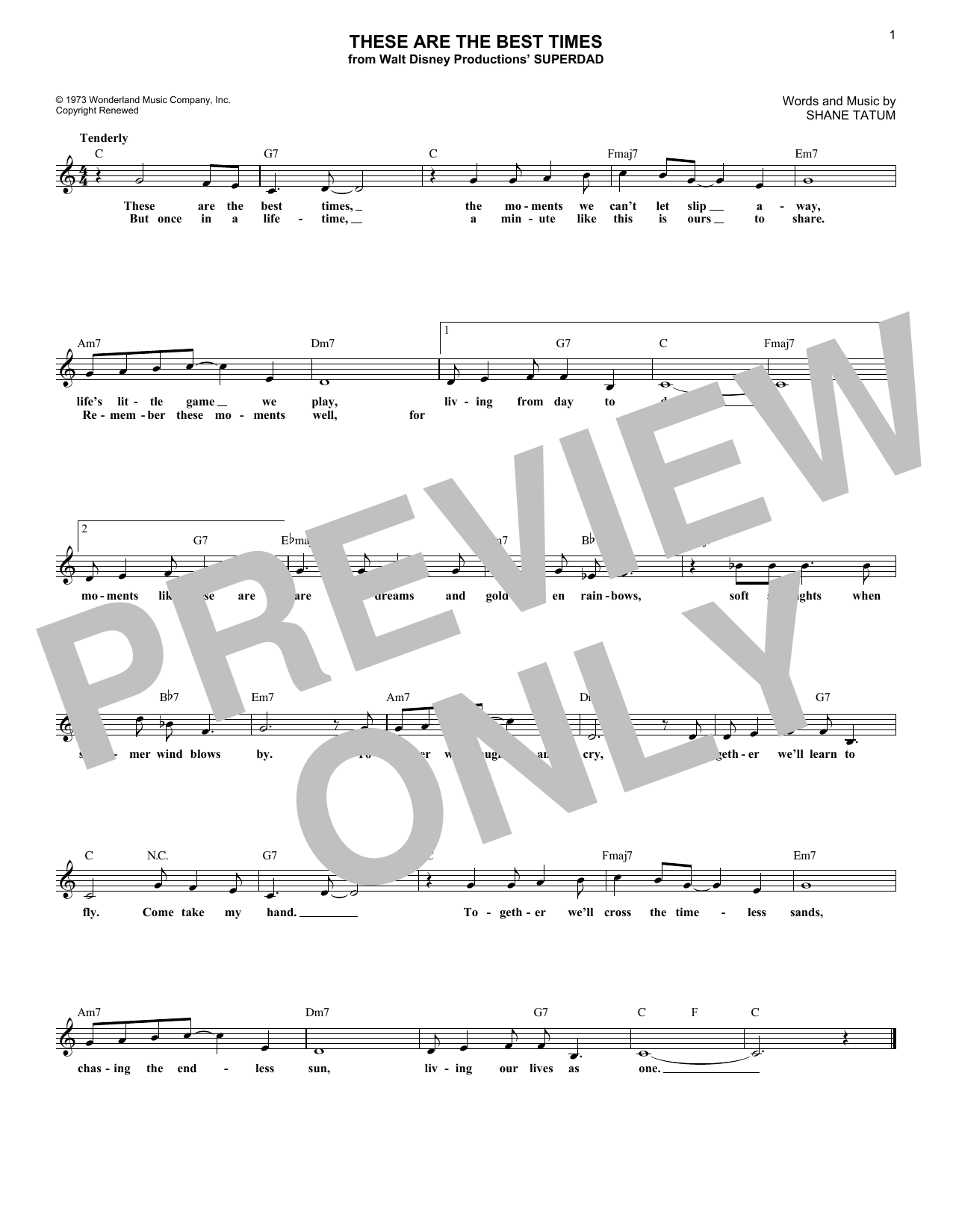 Download Shane Tatum These Are The Best Times Sheet Music