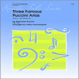 Download or print Three Famous Puccini Arias - Alto Sax Sheet Music Printable PDF 3-page score for Classical / arranged Woodwind Solo SKU: 313337.