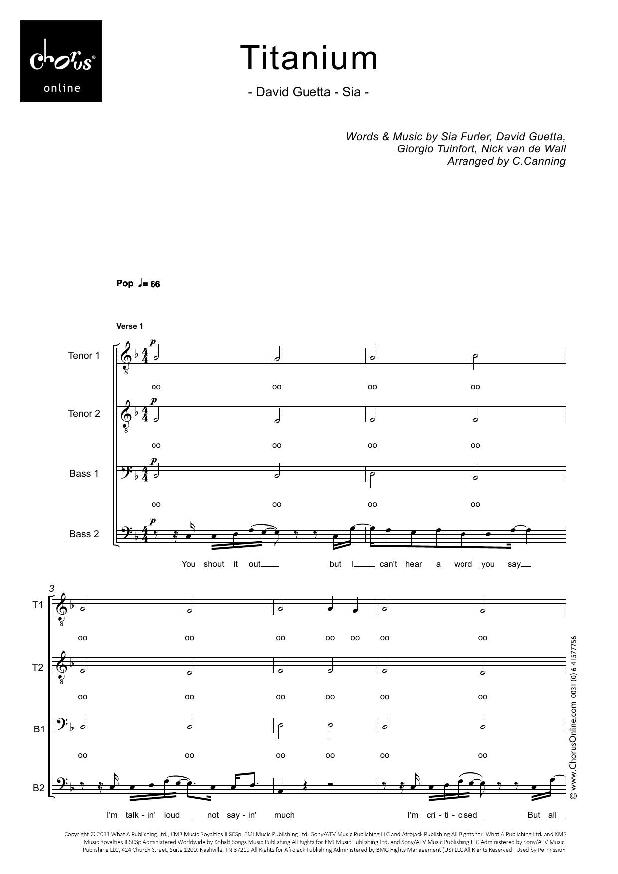 David Guetta Titanium (arr. Carol Canning) sheet music notes printable PDF score